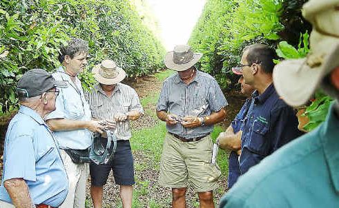 Growers getting field practice and advice on pest monitoring and identification. Growers getting field practice and advice on pest monitoring and identification.